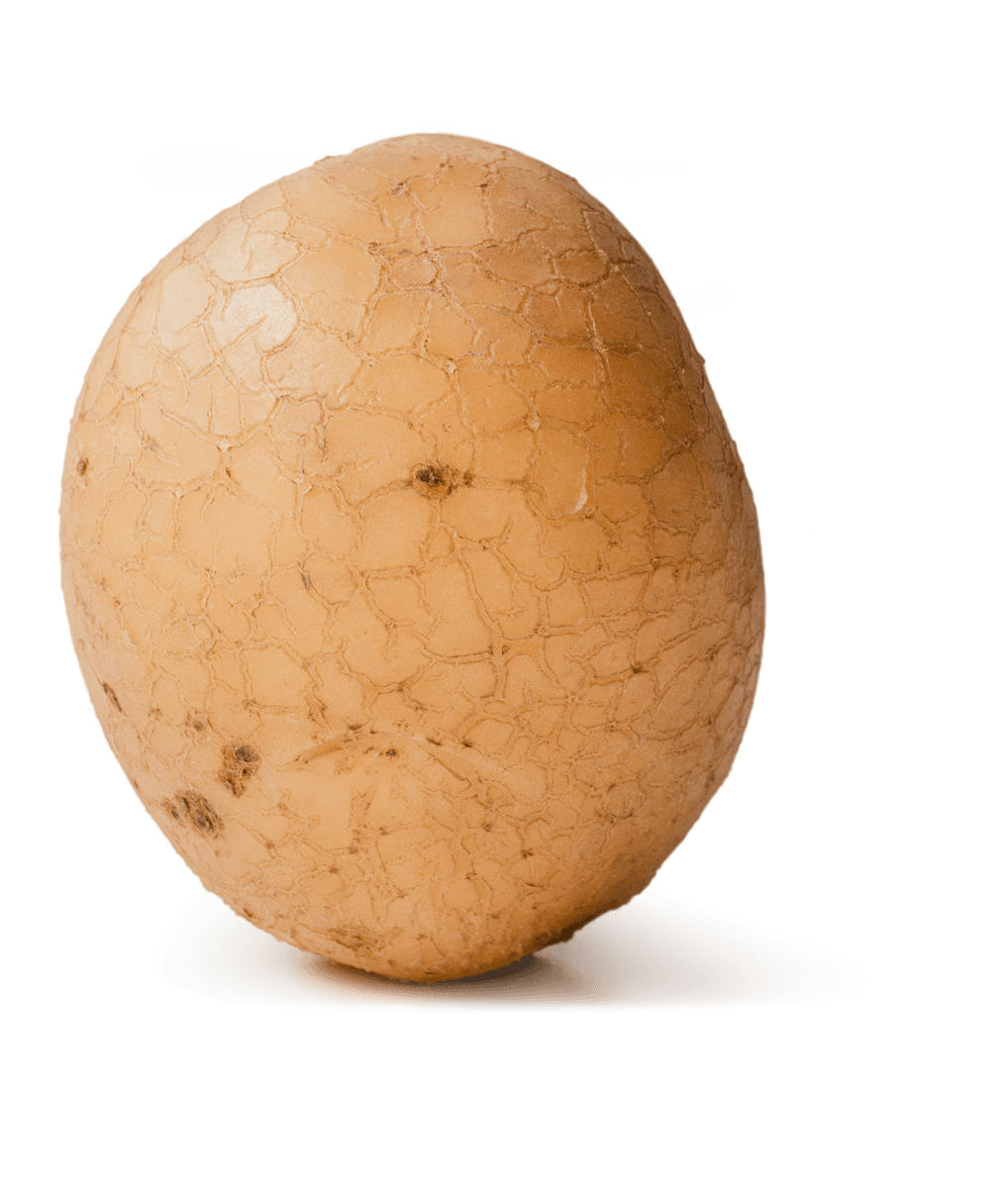 Mehligkochende Kartoffel