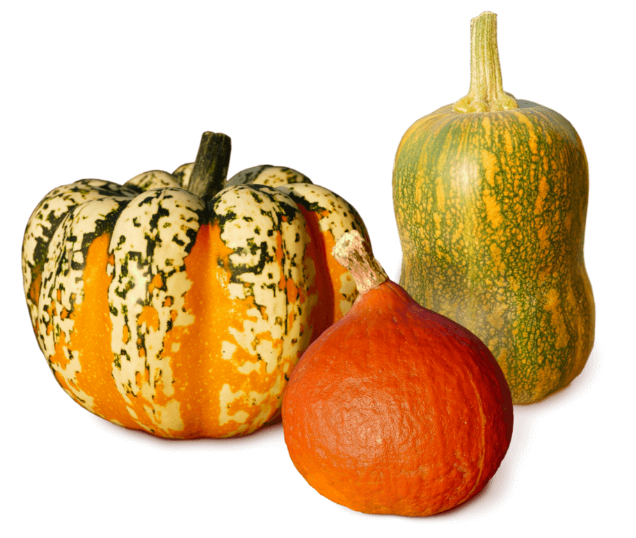 Kürbis Kollage